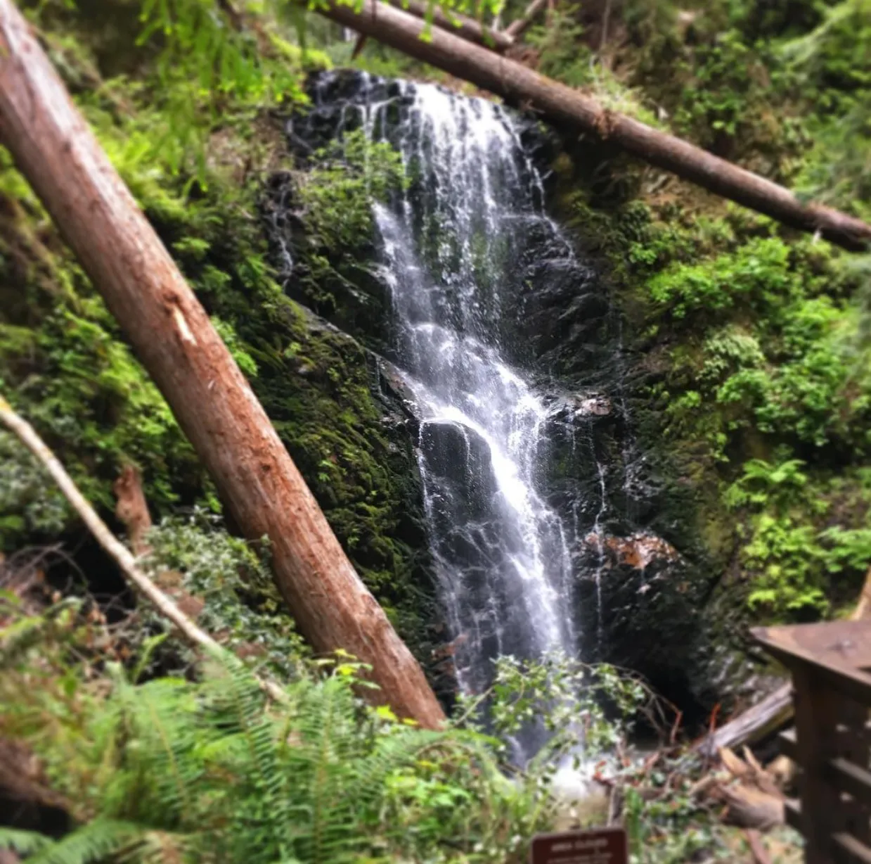 Boulder Creek Falls