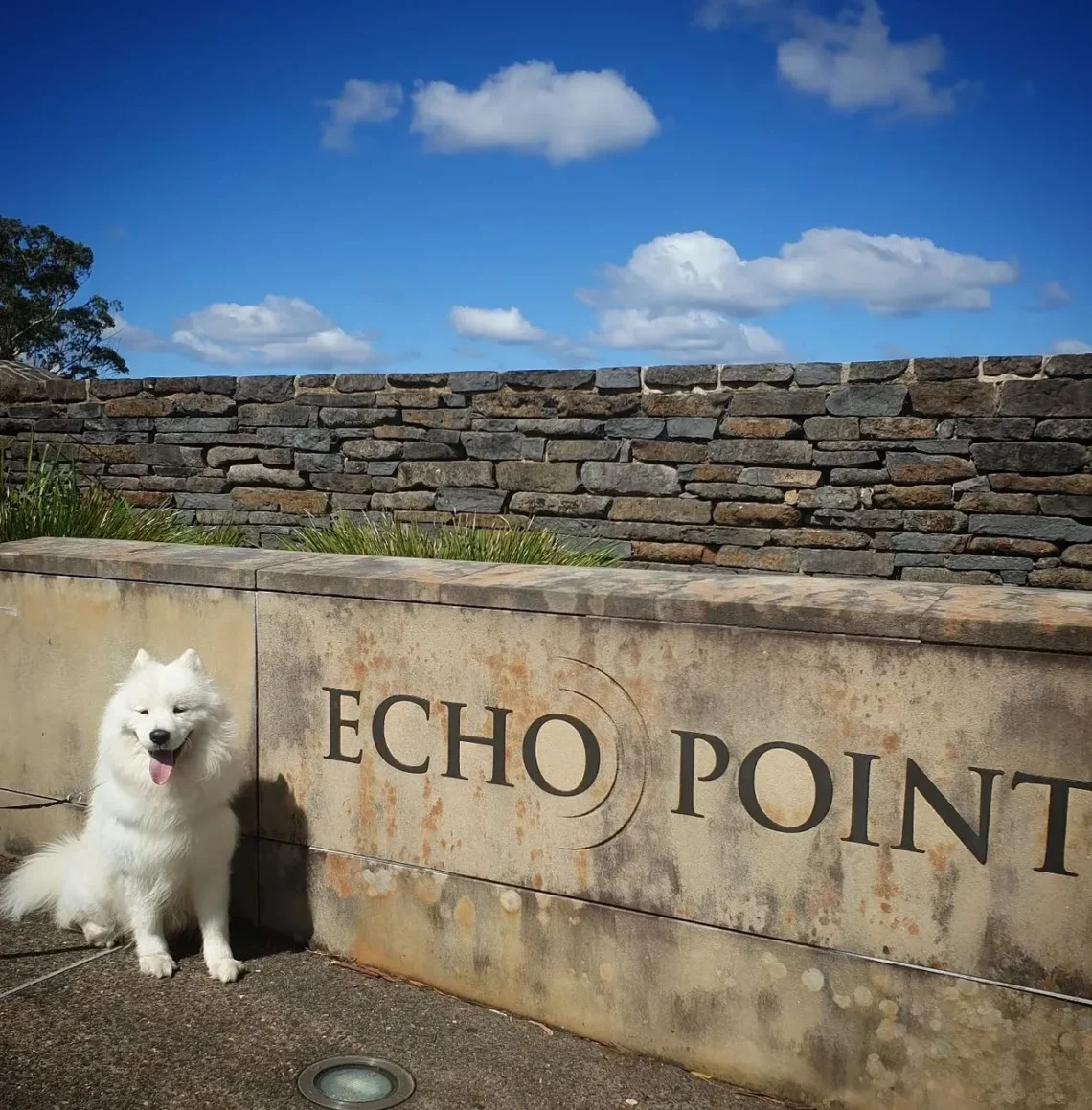 Is it possible to walk from Echo Point to Scenic World