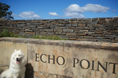 Is it possible to walk from Echo Point to Scenic World