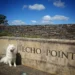 Is it possible to walk from Echo Point to Scenic World