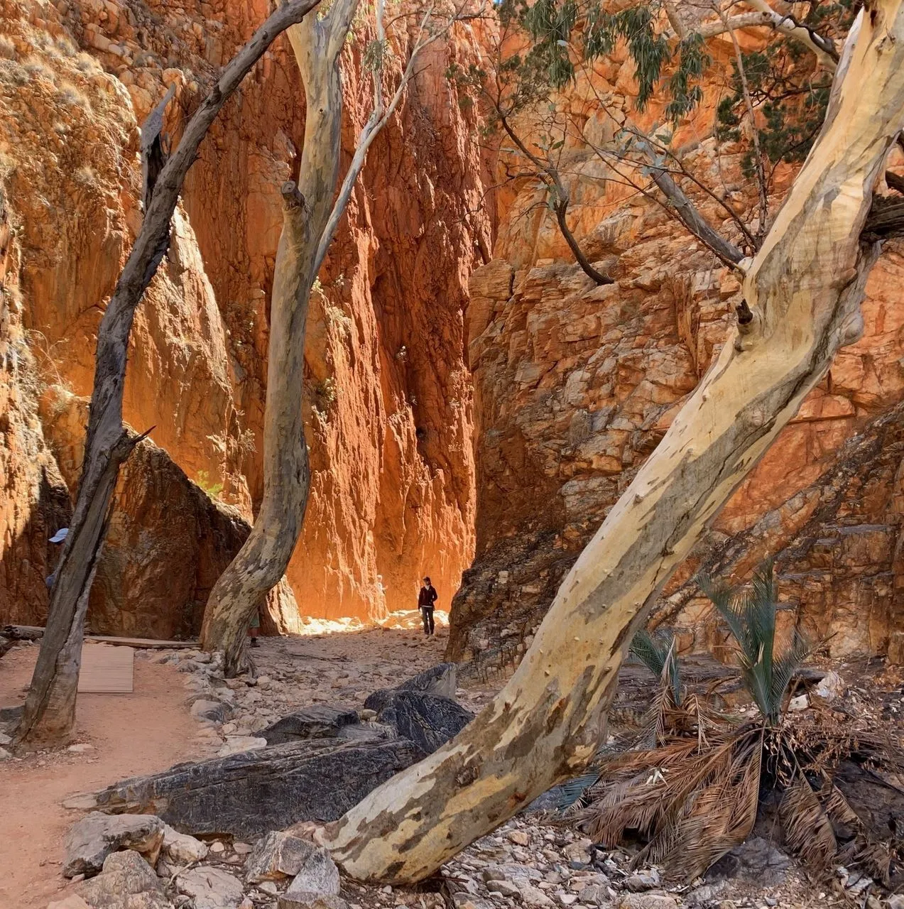 Walking With Respect, Cultural & Environmental Safety